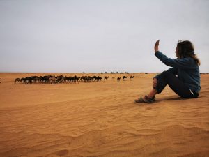 randonnée dromadaire désert Maroc