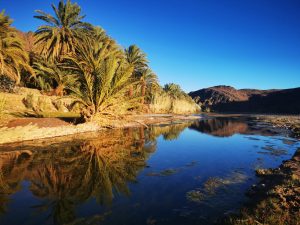 excursion Ouarzazate oasis de Fint
