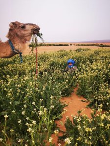 randonnee desert Maroc