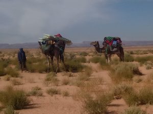 voyage desert Maroc