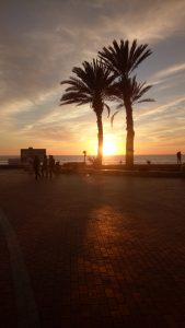 excursion Agadir Essaouira