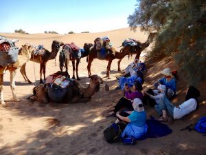 trekking desert Pause a l'ombre des tamaris.