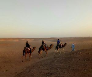 randonnée dromadaire désert Maroc 