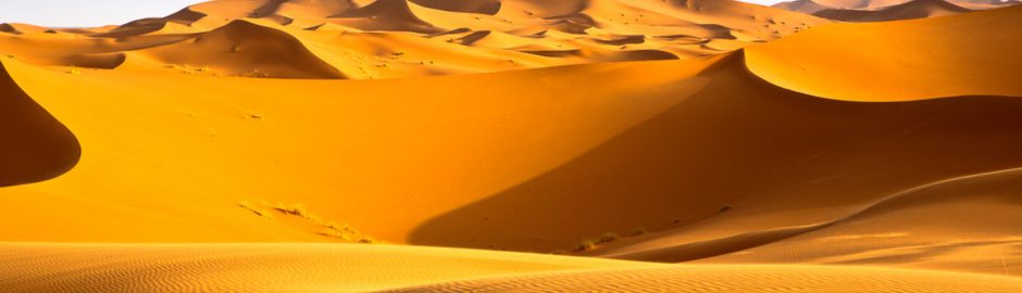 trek desert Sahara