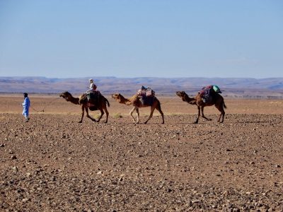 méharée désert Maroc