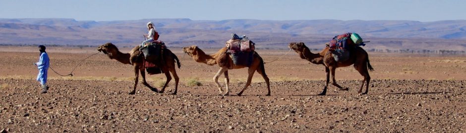 méharée désert Maroc