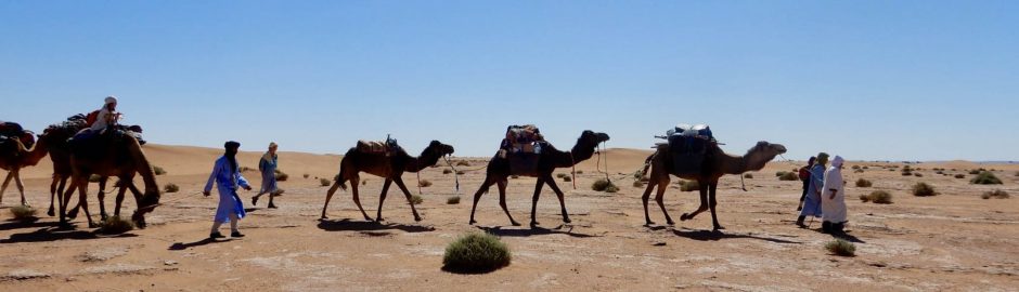 randonnée désert Maroc