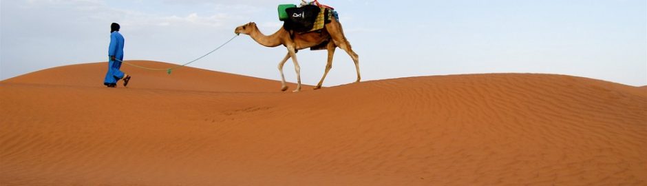 randonnée dromadaire désert Maroc