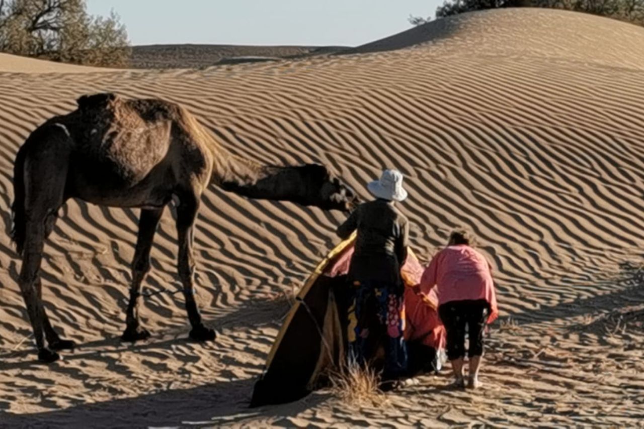 bivouac_sauvage_sahara_peace