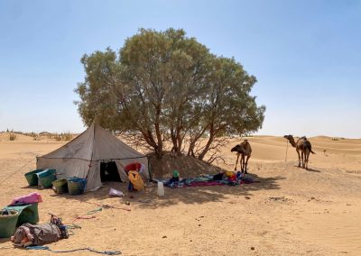 Bivouac sauvage - Sahara Peace