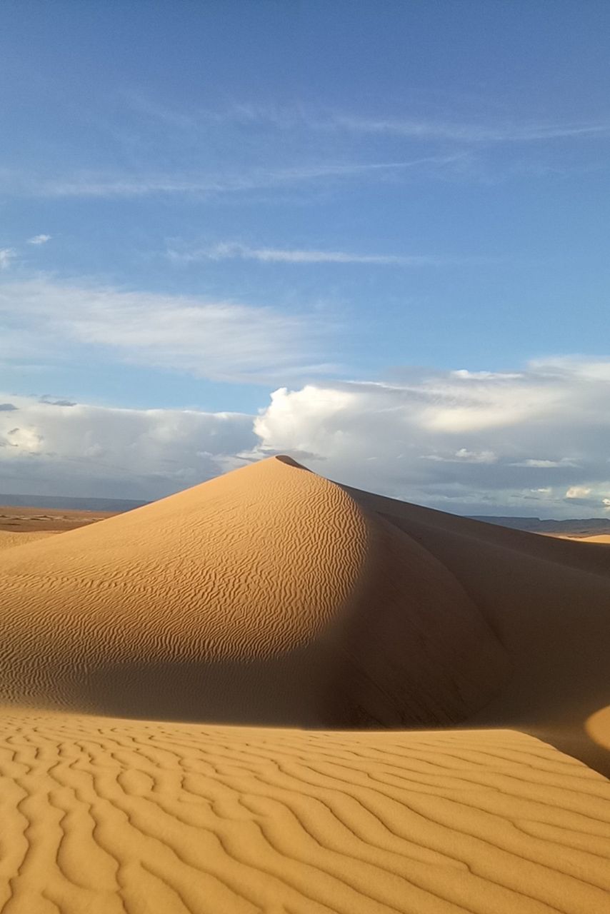 paysage - Sahara peace