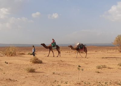 Trekking - Sahara Peace