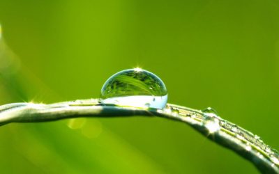 L’eau douce en danger : Repenser notre relation à l’eau pour un avenir résilient