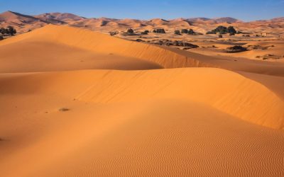 Maroc : Pourquoi la construction de nouveaux barrages ne suffira pas à vaincre la sécheresse