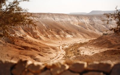 Quand l&rsquo;IA révolutionne l&rsquo;archéologie : Des trésors cachés des déserts du Moyen-Orient dévoilés