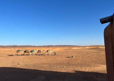 Trek - Sahara peace - Maroc