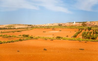 Une société agricole inconnue révélée au Maroc : Une découverte qui réécrit l’histoire du Maghreb