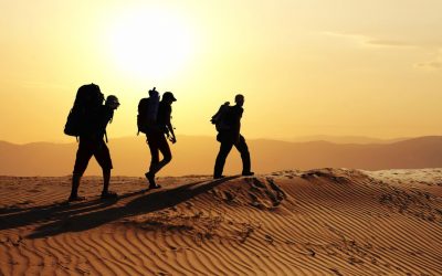 Trek en solo ou en groupe : Quelle option choisir pour votre prochaine aventure ?