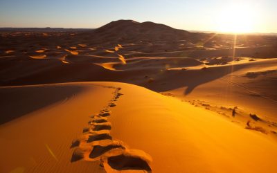 Les anecdotes fascinantes du Sahara : Un voyage à travers les mystères du plus grand désert du monde