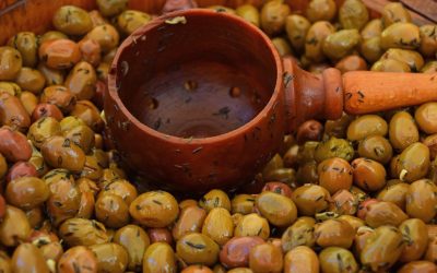 Huile d’olive : Le Maroc s’adapte pour répondre à la crise