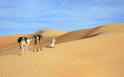 Le Top 10 des merveilles naturelles du Maroc à explorer lors de treks inoubliables