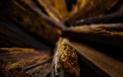 L’Anti-Atlas : Un nouveau gisement de cuivre et d’or révélé par Aterian plc
