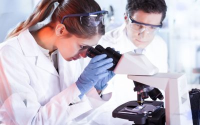 Fès-Meknès : Création d’un pôle des sciences de santé pour renforcer l’offre médicale et universitaire