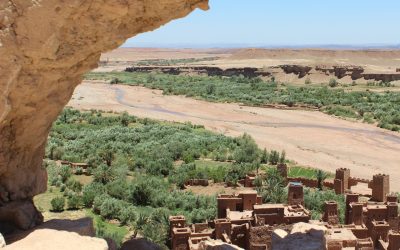 Le Sahara n’a pas toujours été un désert : Révélations sur un paradis disparu
