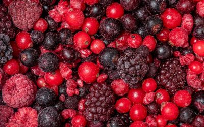 Fruits rouges du Maroc : Un atout naturel entre désert et régions du nord