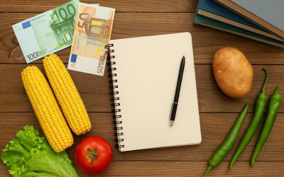 PLF 2026 : Les grandes priorités de l’État marocain pour le monde rural, l’éducation, la santé et l’emploi