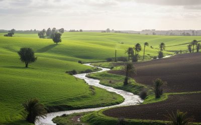 Pluies bénéfiques à Essehoul : Une nouvelle dynamique pour l’agriculture locale